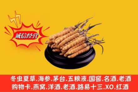 长春农安县名酒回收冬虫夏草.jpg